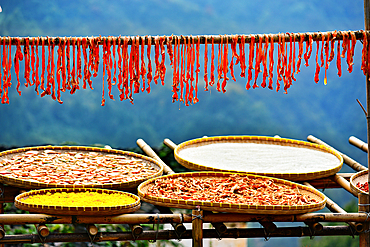 Pumpkin strips and other produce being sun dried in autumn, Huangling, Wuyuan County, Shangrao City, Jiangxi Province, China. Huangling is an ancient village that dates back to the Ming Dynasty more than 500 years ago and is known for its natural beauty.