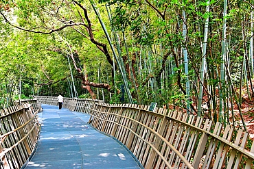 FuDao (Fortune Walkway), Fuzhou, Fujian Province, China. FuDao is a picturesque 19km elevated walkway straddling several hills and parks in Fuzhou.