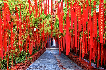 Bamboo garden filled with well wishing ribbons in Kaiyuan Temple, Chaozhou, Guangdong Province, China