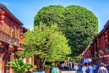 Sculpted heart shaped tree at Three Lanes and Seven Alleys (Sanfang Qixiang), Fuzhou, Fujian Province, China. The district has a history of more than 1000 years.