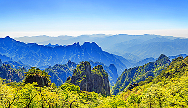 Huangshan (Mt Huang), UNESCO World Heritage and UNESCO Global Geopark, Anhui Province, China.
