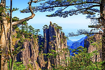 Huangshan (Mt Huang), UNESCO World Heritage and UNESCO Global Geopark, Anhui Province, China.