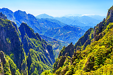 Huangshan (Mt Huang), UNESCO World Heritage and UNESCO Global Geopark, Anhui Province, China.