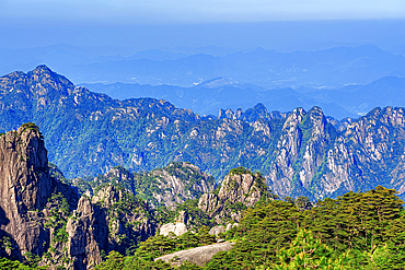 Huangshan (Mt Huang), UNESCO World Heritage and UNESCO Global Geopark, Anhui Province, China.