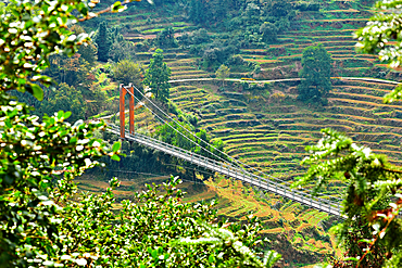 Suspension bridge over terrace farmland in Huangling, Wuyuan County, Shangrao City, Jiangxi Province, China. Huangling is an ancient village that dates back to the Ming Dynasty more than 500 years ago and is known for its natural beauty.