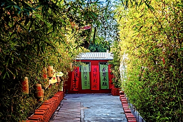 Bamboo garden in Kaiyuan Temple, Chaozhou City, Guangdong Province, China. First established in 738A.D., most structures of the temple still preserves the original appearance and contain several national treasures.