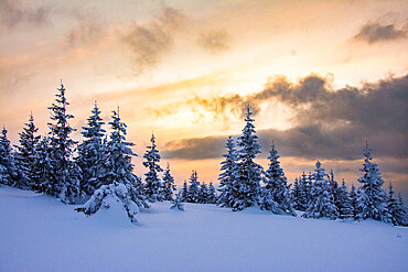 winter landscape in mountains