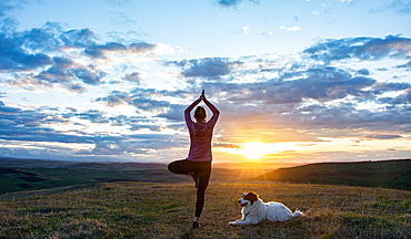 woman with white dog doing yoga at sunset