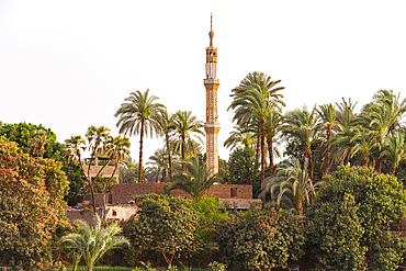 Minaret and palm trees on banks of Nile River, Egypt