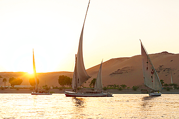 Felucca boats sailing in Nile River at sunset, Aswan, Egypt