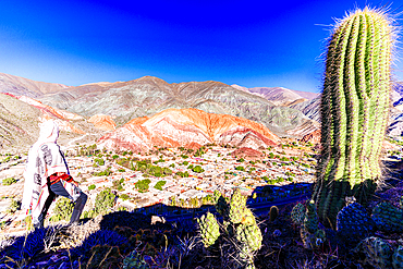 Man with traditional poncho admiring the colorful striped mountains standing beside a giant cactus, Purmamarca, Argentina