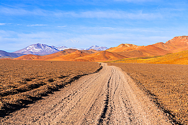 Dirt road in the arid highlands, Puna, Argentina
