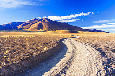 Winding track across the Andean altiplano, Puna, Argentina
