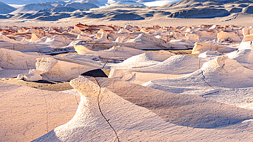 Volcanic shaped rocks, Campo de Piedra Pomez, El Penon, Puna, Catamarca, Argentina