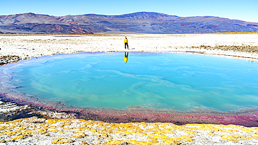 Tourist looking at saltwater pond, Ojos del Campo, Salar de Antofalla, Puna, Catamarca, Argentina