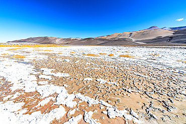 Cracked desert terrain, Salar de Antofalla, Puna, Catamarca, Argentina