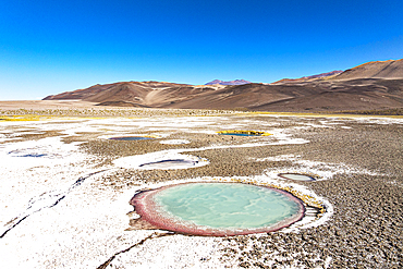 Salt ponds, Ojos del Campo, Salar de Antofalla, Puna, Catamarca, Argentina
