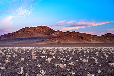 High desert landscape of the Puna region, Argentina