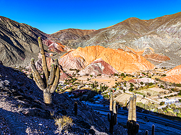 Cactus on hills above the town of Purmamarca with red rock mountains on background, Argentina