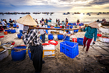 Fishermen carrying fresh fish on a beach, Tam Tien, Quang Nam Province, Central Vietnam