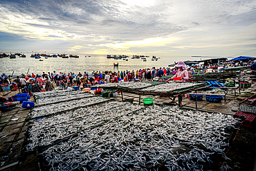 Fresh fish Tam Tien beach, Quang Nam Province, Central Vietnam