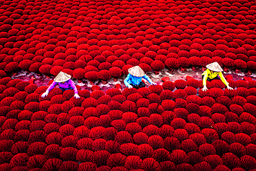 Women arranging incense sticks to dry, Hanoi, Vietnam