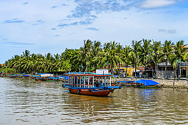Tourist boats on the Thu Bon River, Hoi An, Quang Nam Province, Vietnam