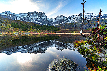 Mountains reflected in a lake, Nusfjord, Flakstad, Lofoten Islands, Norway