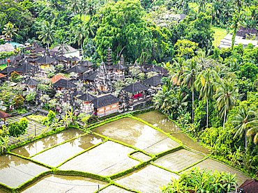 Old pagodas of a temple surrounding the paddy fields in a tropical rainforest, aerial view, Ubud, Bali, Indonesia