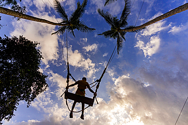 Low angle view of a cheerful boy having fun on a jungle swing between palm trees against clouds at sunset, Ubud, Bali, Indonesia