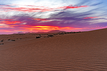 Fiery sky at sunset over sand dunes shaped by wind, Corralejo Natural Park, Fuerteventura, Canary Islands, Spain