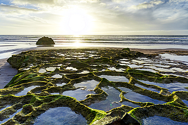 Sunset over seaweed and rock formations on Cofete beach, Jandia Nature Park, Fuerteventura, Canary Islands, Spain