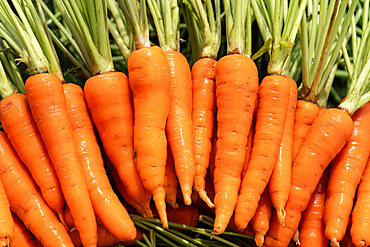 Vendor displayed carrots for sell at a vegetable stall