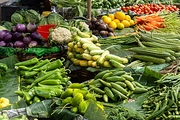 Vendor displays different vegetables at a stall to sell