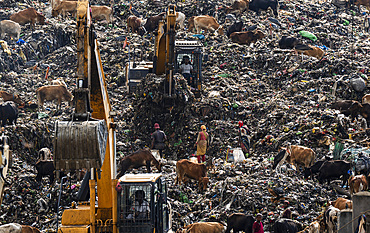 Municipality excavators working at a garbage dumping site as Greater adjutant storks flying, on May 27, 2025 in Guwahati, India.