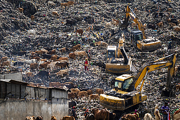 Ragpickers collect reusable items next to municipality excavators, at a garbage dumping site on May 27, 2025 in Guwahati, India.