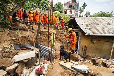 National Disaster Response Force (NDRF) personnel with sniffer dog busy in rescue operations after a major landslide, triggered by a heavy downpour, on June 7, 2025 in Guwahati, India.