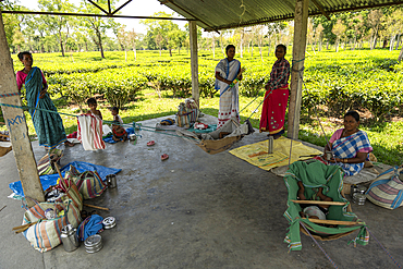 Daycare workers take care of babies and children in a shelter at a Tea Estate, as their mother busy in harvesting tea leafs, in Assam, India on June 12, 2025.