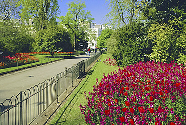 Hyde Park, London, England, UK