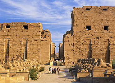 The Processional Avenue, lined with the ram-headed sphinxes, before the Temple of Karnak, Thebes, UNESCO World Heritage Site, Egypt, North Africa, Africa