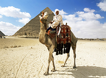 Camel and rider, Giza, Egypt, North Africa, Africa