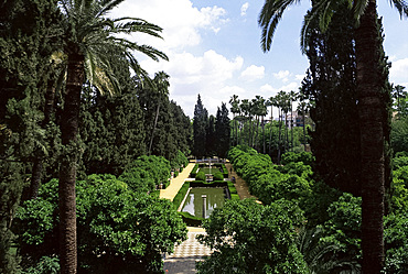 Gardens of the Alcazares, Seville, Andalucia, Spain, Europe