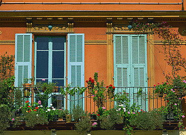 Flowers on a balcony in front of windows with turquoise shutters in Nice, Cote d'Azur, Provence, French Riviera, France, Europe