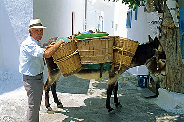 Local man loading baskets onto donkey, Mykonos, Cyclades Islands, Greek Islands, Greece, Europe