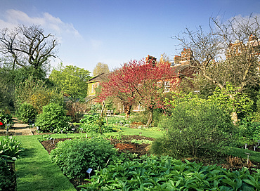 Chelsea Physic Garden, London, England, United Kingdom, Europe