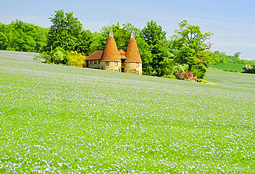 Converted Oast House, Kent, England