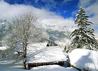 Snow covered barns, Wengen, Bernese Oberland, Swiss Alps, Switzerland, Europe