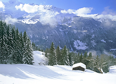 View over valley after snow storm, Wengen, Bernese Oberland, Swiss Alps, Switzerland, Europe