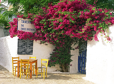 The Three Brothers Taverna, with menu, tables and chairs under bougainvillea, on Hydra, Argo Saronic Islands, Greek Islands, Greece, Europe