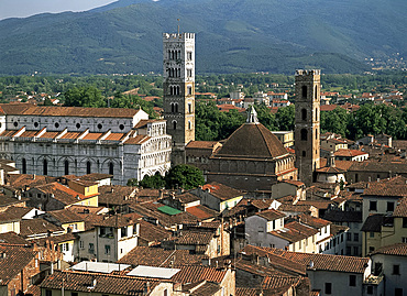 View from Torre del Ore, Lucca, Tuscany, Italy, Europe